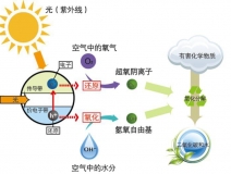 什么甲醛治理辦法效果好持續(xù)時間長？