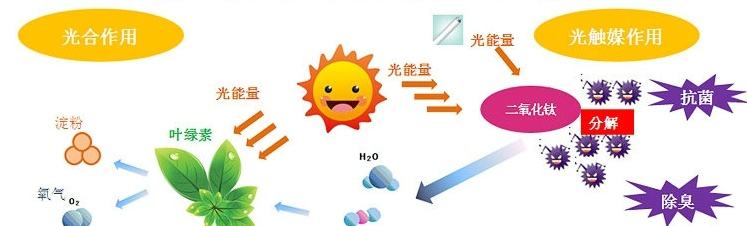 甲醛治理用什么辦法最正確？這三點(diǎn)常見的除甲醛辦法其實(shí)是誤區(qū)