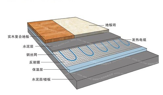 冬季，它們成了甲醛的幫兇