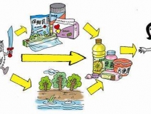 食品中有塑化劑嗎？這些食品中含有大量塑化劑，食用時(shí)一定要注意！