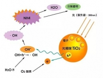 現(xiàn)在光觸媒的價格是多少？