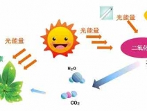 家中甲醛超標(biāo)，什么才是甲醛治理的正確姿勢？