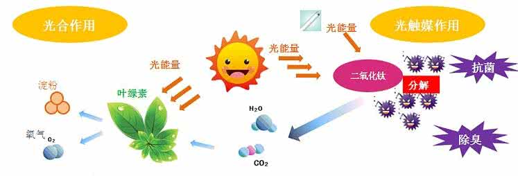 家中甲醛超標(biāo)，什么才是甲醛治理的正確姿勢(shì)？